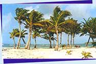 the beach of Bois Jolan