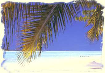 vue de plage
