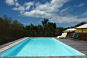 pool on the estate