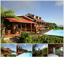 Le Jardin Malanga
