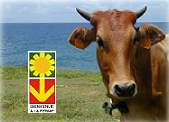 welcome on the farm