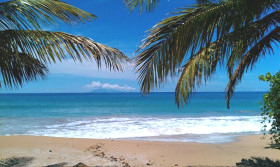 plage sainte Anne Guadeloupe residence Hibiscus